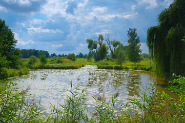 Kleiner Spreewald im Sommer - small Spree Forest in summer