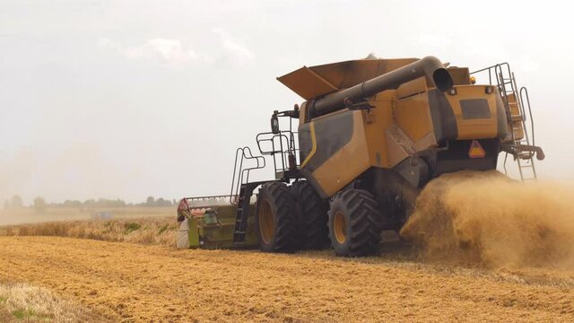 Wheat harvesting on field in summer season. Wide chaff spreading by combine harvester with rotor separation. Process of gathering crop by agricultural machinery: cuts and threshes ripe wheat grain