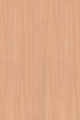 Naklejka premium brown wooden tree timber background texture structure backdrop high size