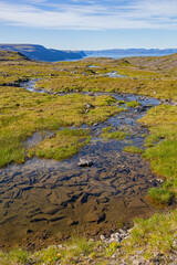 Transparent river flowing through tundra landscape with background of fjord of Barents sea. Short polar summer in Finnmark, Norway.