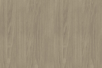 Fototapeta na wymiar grey chestnut wood tree timber background texture structure backdrop
