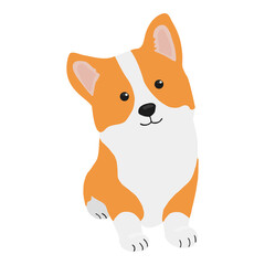 Corgi dog vector cartoon illustration. Cute friendly welsh corgi puppy, isolated on white background. Great for icon, symbol, card, children's book