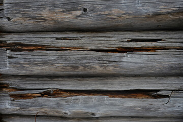 Fototapeta premium wooden wall. rotten logs