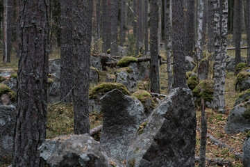 Mannerheim line anti tank fortification barricade, Karelia, Russia.