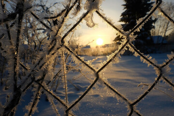 metal fence made of mesh, braided wire. covered with frost, snow. beautiful red sunset