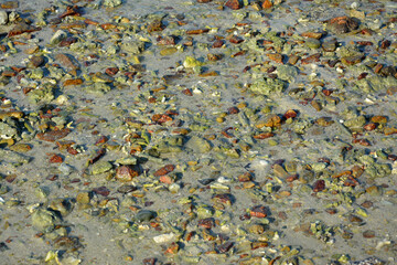 colorful rocks on the sand beach in sunny afternoon