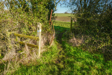 A stile in a hedgerow in the countryside over public footpath 