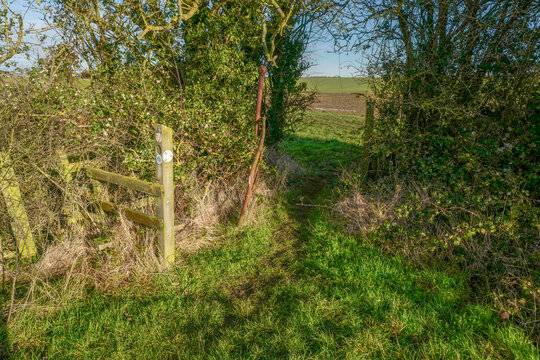 A stile in a hedgerow in the countryside over public footpath 