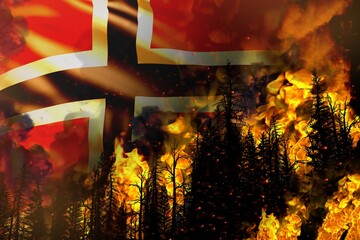 Forest fire natural disaster concept - heavy fire in the trees on Norway flag background - 3D illustration of nature