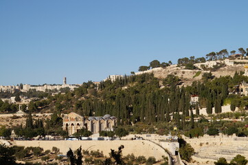 mount of Olives in jerusalem