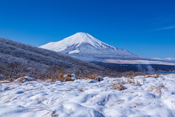 新雪の山中湖村明神山から雪化粧の富士山