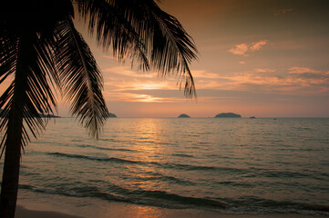 Silhouette coconut palm trees on beach at sunset. Vintage tone