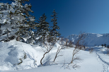 北海道　十勝岳連峰の冬の風景