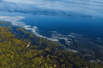 A bird fishes in polluted waters in the Loire river.