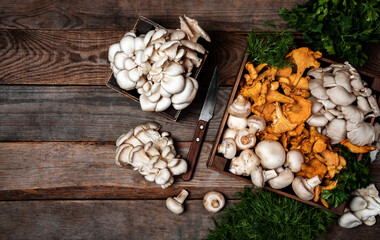 Obraz na płótnie Canvas Wooden tray with raw oyster and chanterelle mushrooms on wooden table. Copy space for your text. Banner.