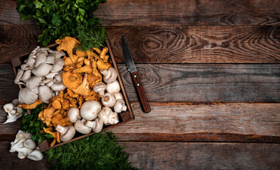 Wooden tray with raw oyster and chanterelle mushrooms on wooden table. Copy space for your text. Banner.