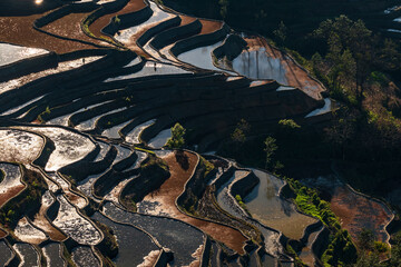 Fototapety na wymiar - Fototapeta24.pl