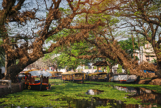 Beautiful Kerala backwaters and palm tree landscape