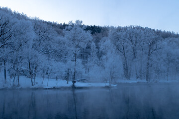 北海道冬の風景　富良野の樹氷