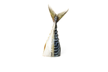 Mackerel tail isolated on white