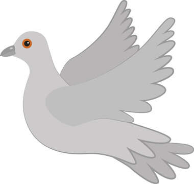 Gray dove on white background vector illustration. Bird in flight. Symbol of love peace and devotion