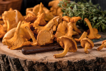 Raw wild mushrooms chanterelles in basket with dill on wooden background.