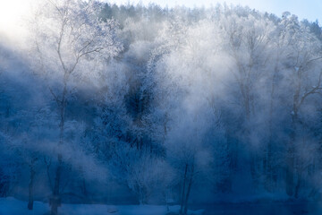 Fototapeta na wymiar 北海道冬の風景　富良野の樹氷
