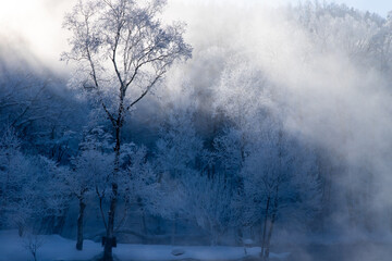 Obraz na płótnie Canvas 北海道冬の風景　富良野の樹氷
