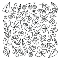 Cute summer vector doodles set. Plant elements. Simple and elegant decor for packaging, textiles and other goods.  