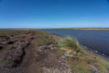 View from Sea Lion Island, Falkland Islands.