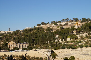mount of Olives in jerusalem