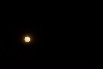 Orange full moon in beautiful night For background
