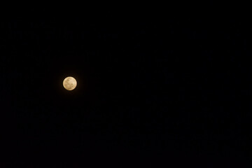 Orange full moon in beautiful night For background