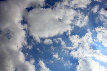 Fototapeta premium Beautiful white clouds on blue sky bottom view.