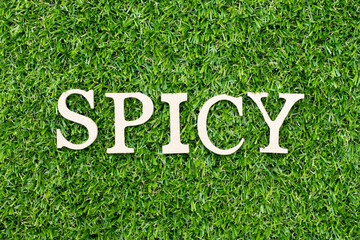 Wood alphabet letter in word spicy on green grass background