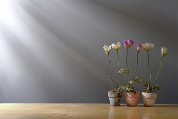 Artificial plant in a pot on wooden table. Soft morning light shines through the window.