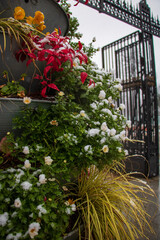 flowers and colorful plants on a big pot in front of a huge door o a park after snowstorm