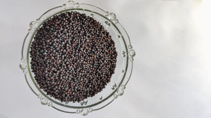 mustard seeds in glass bowl on a white isolated surface