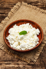 Organic homemade cottage cheese or curd in bowl