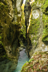 The Tolminka River flowing through Tolmin Gorge in the Triglav National Park, north western Slovenia
