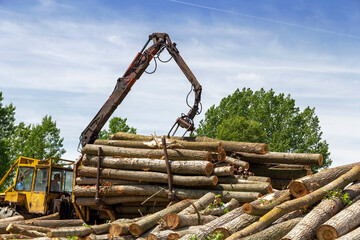 Forestry Logging Vehicle on Duty - Lumber Industry