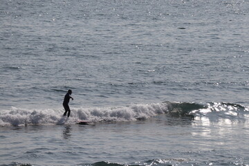 Fototapeta premium 平日の湘南