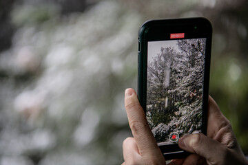 Fototapete bei efototapeten.de bestellen   