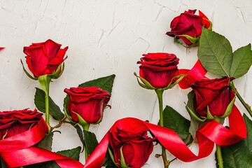 Fresh burgundy roses with red satin ribbon on a white putty background