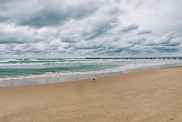 Stormy Black sea in day time, big waves and gusty wind