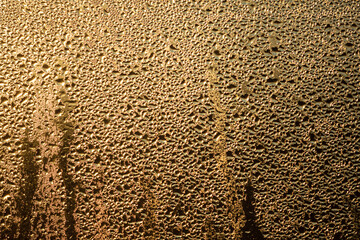 Drops of water on glass in the rays of the dawn of the sun.