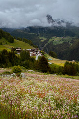 Valle fiorita