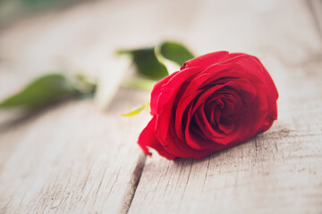 Red rose on wooden background. Vintage style