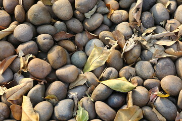 pebbles on the beach