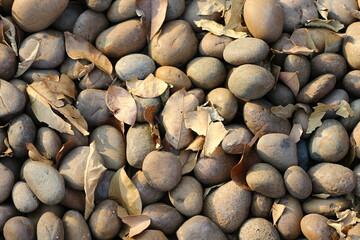 pebbles on the beach